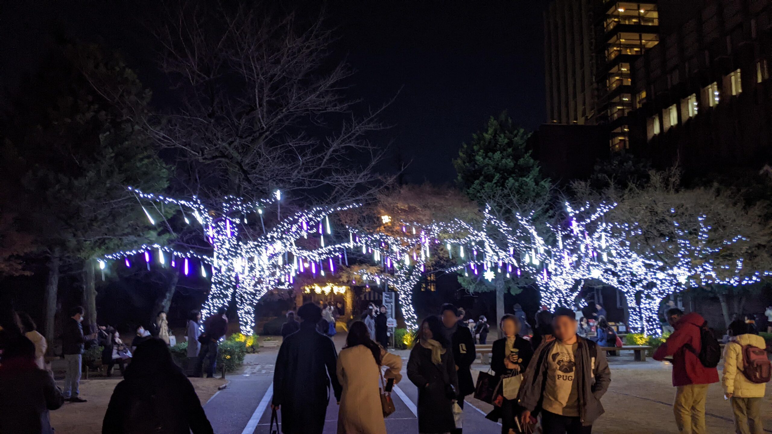 立教大学正門からみたクリスマスでこれーしょ